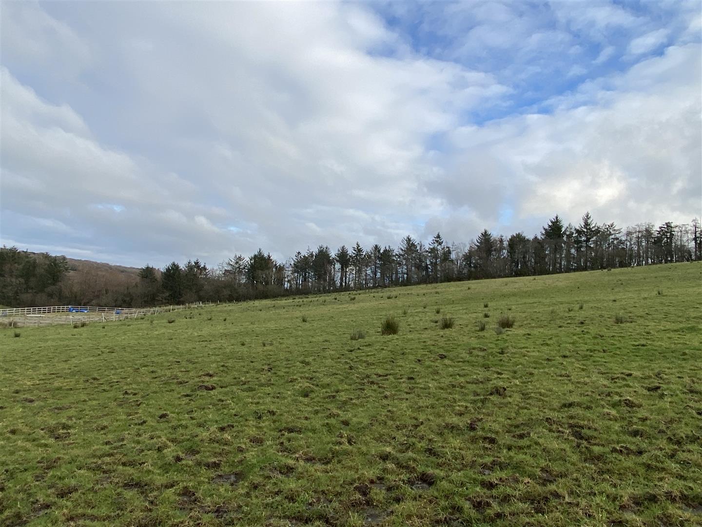 PASTURE PADDOCKS